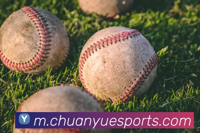 体育下注平台生态图